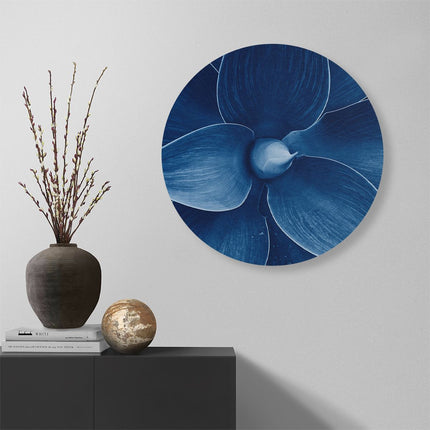 Wandcirkel muur Blauwe Agave Plant - Bloem