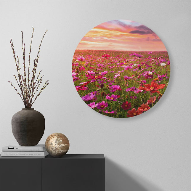 Wandcirkel muur Kleurrijke Kosmos Bloemenveld