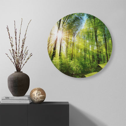 Wandcirkel muur Weg Omringd Met Bomen In Het Bos