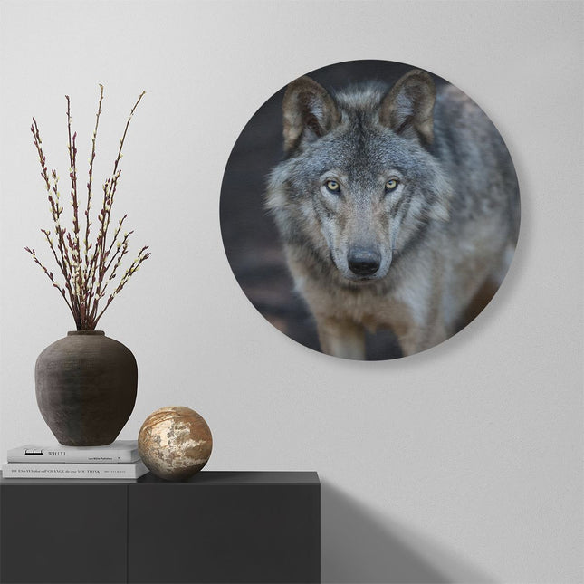 Wandcirkel muur Wolvenkop - Grijze Wolf