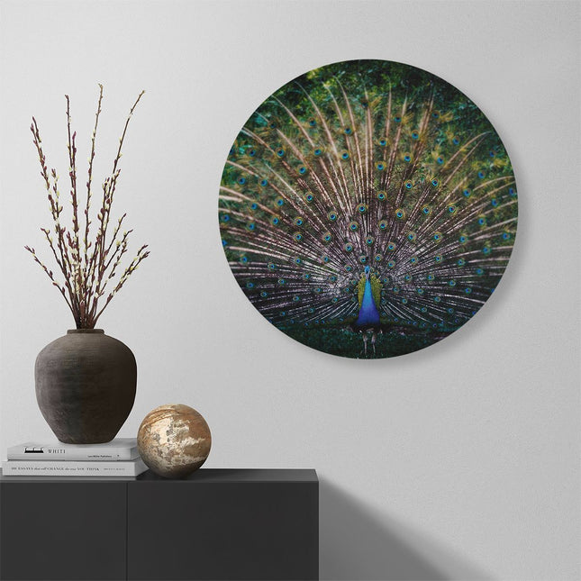 Wandcirkel muur Pauw Met Kleurrijke Veren - Kleur