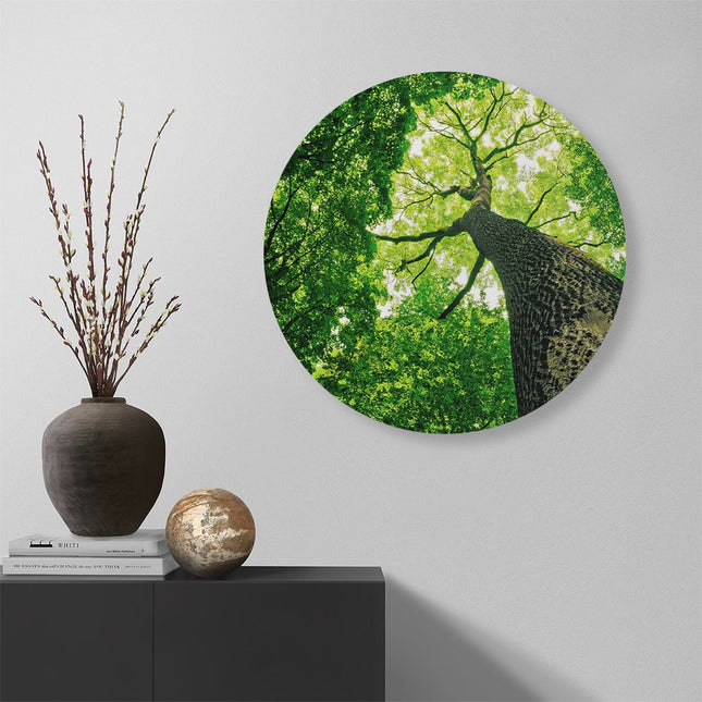 Wandcirkel muur Boom In Het Bos Met Fel Groene Bladeren