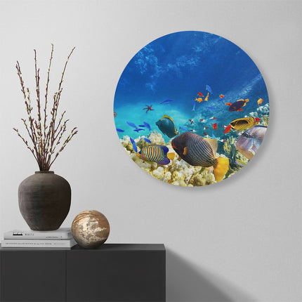 Wandcirkel muur Vissen in de Oceaan met Koralen