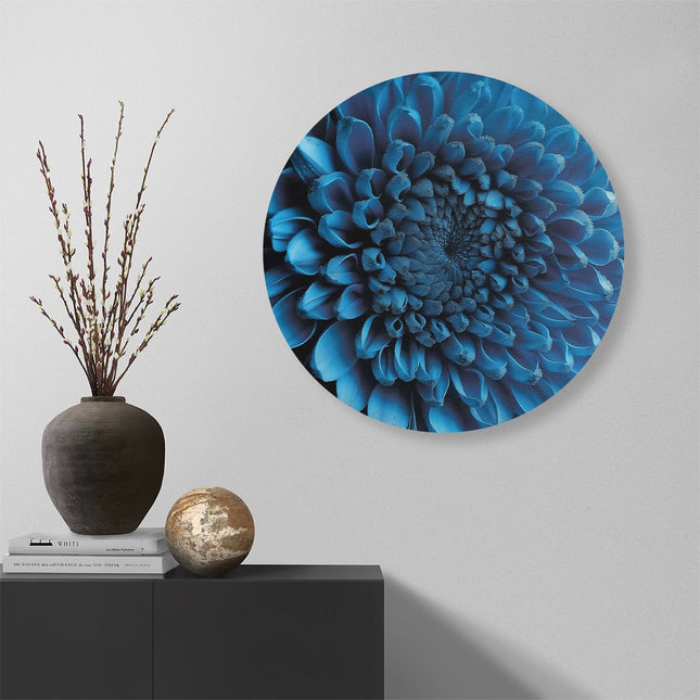 Wandcirkel muur Close-Up van een Blauwe Chrysant Bloem