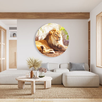 Wandcirkel woonkamer Leeuw