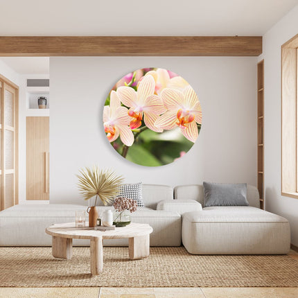 Wandcirkel woonkamer Gestreepte Witte Orchidee Bloemen