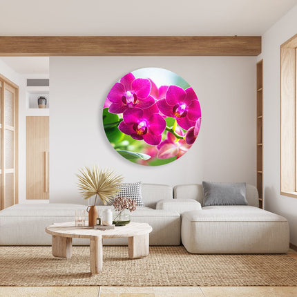 Wandcirkel woonkamer Roze Orchidee Bloemen