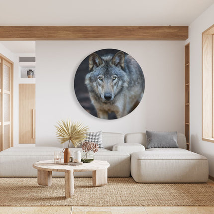 Wandcirkel woonkamer Wolvenkop - Grijze Wolf