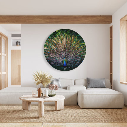 Wandcirkel woonkamer Pauw Met Kleurrijke Veren - Kleur