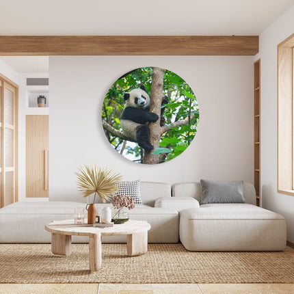 Wandcirkel woonkamer Panda in de Bomen