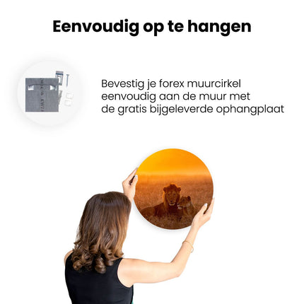 Wandcirkel ophangen Leeuw En Leeuwin Tijdens Zonsondergang