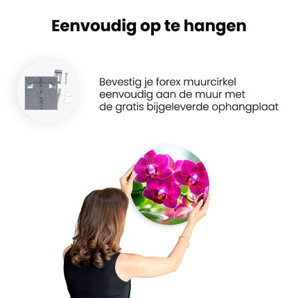 Wandcirkel ophangen Roze Orchidee Bloemen