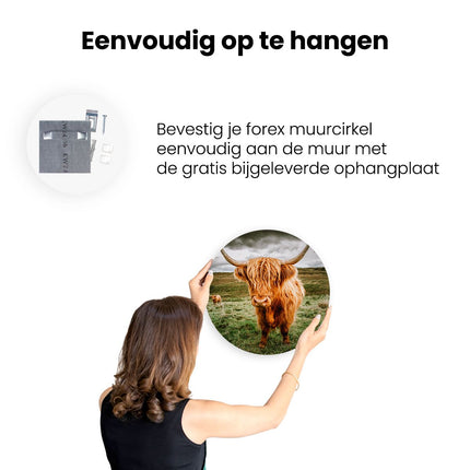 Wandcirkel ophangen Schotse Hooglanders In De Wei - Kleur