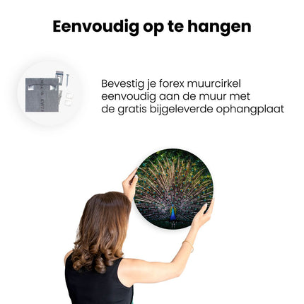 Wandcirkel ophangen Pauw Met Kleurrijke Veren - Kleur