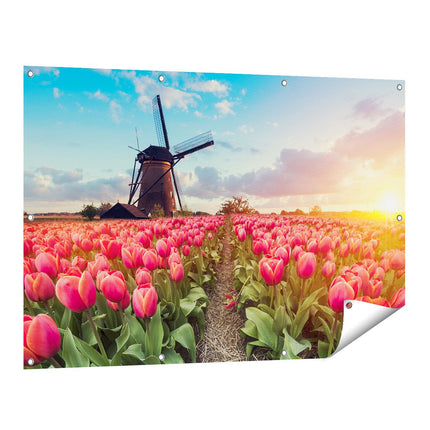 Tuinposter vooraanzicht Roze Tulpen Bloemenveld - Met Windmolen