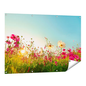 Tuinposter vooraanzicht Kosmos Bloemenveld Met Een Opkomende Zon