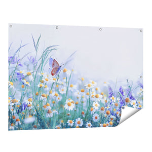 Tuinposter vooraanzicht Witte Kamille Bloemen Met Een Vlinder