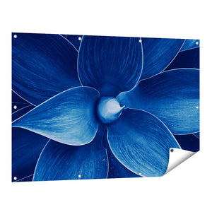 Tuinposter vooraanzicht Blauwe Agave Plant - Bloem
