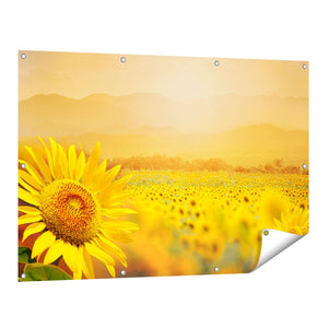 Tuinposter vooraanzicht Zonnebloemen Veld Met Zonopkomst