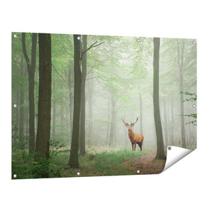 Tuinposter vooraanzicht Hert In Bos
