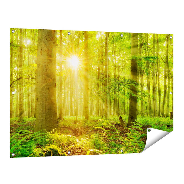 Tuinposter vooraanzicht Groen Bos Met Schijnende Zonnestralen