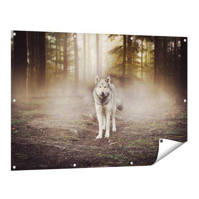 Tuinposter vooraanzicht Grijze Wolf In Het Bos