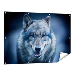 Tuinposter vooraanzicht Wolvenkop Met Blauwe Ogen - Wolf