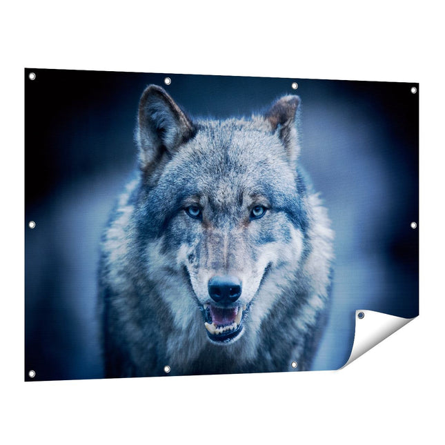 Tuinposter vooraanzicht Wolvenkop Met Blauwe Ogen - Wolf