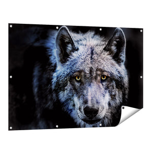 Tuinposter vooraanzicht Grijze Wolvenkop - Wolf
