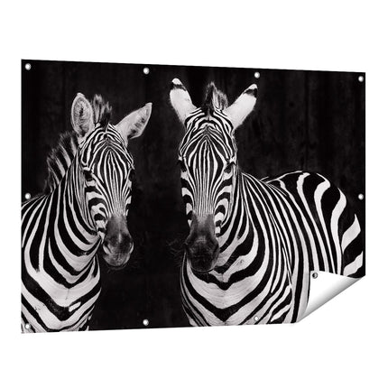 Tuinposter vooraanzicht Twee Zebra's - Zwart Wit