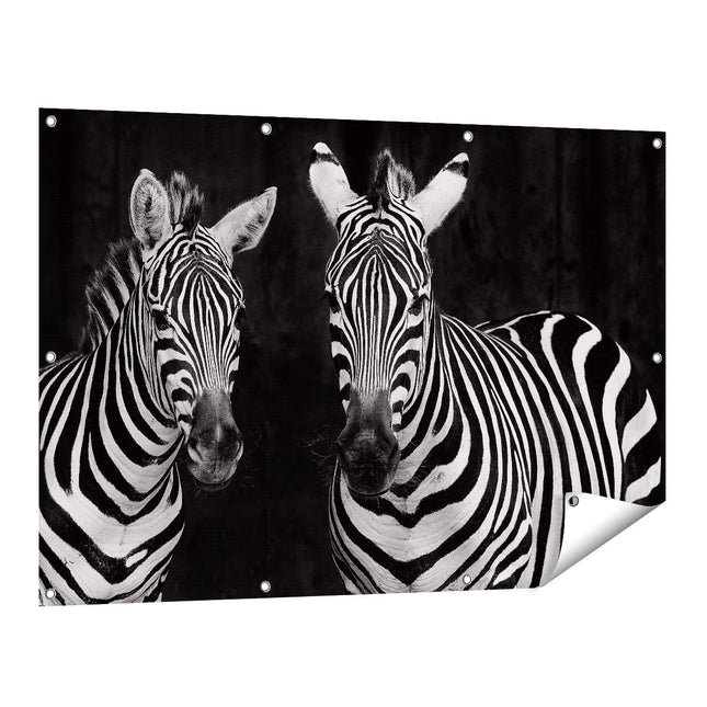 Tuinposter vooraanzicht Twee Zebra's - Zwart Wit