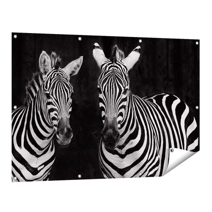 Tuinposter vooraanzicht Twee Zebra's - Zwart Wit