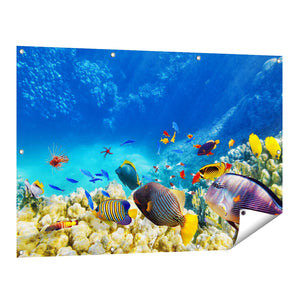 Tuinposter vooraanzicht Vissen in de Oceaan met Koralen