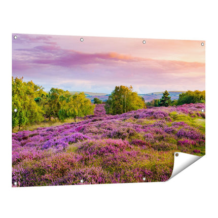 Tuinposter vooraanzicht Paarse Weide