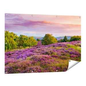 Tuinposter vooraanzicht Paarse Weide