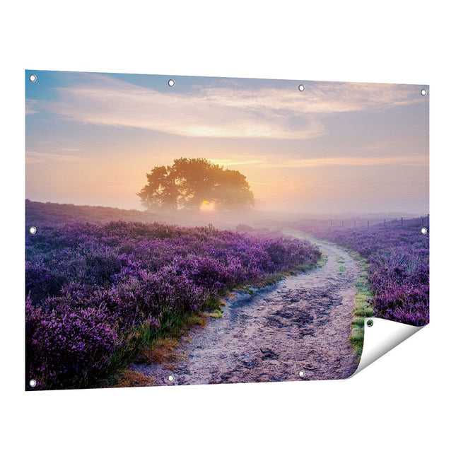 Tuinposter vooraanzicht Pad in de Weide van de Veluwe