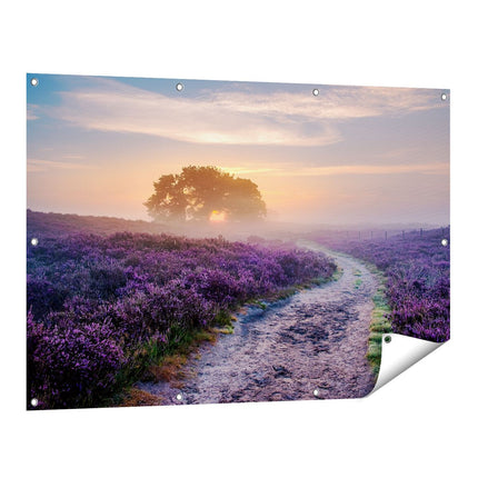 Tuinposter vooraanzicht Pad in de Weide van de Veluwe