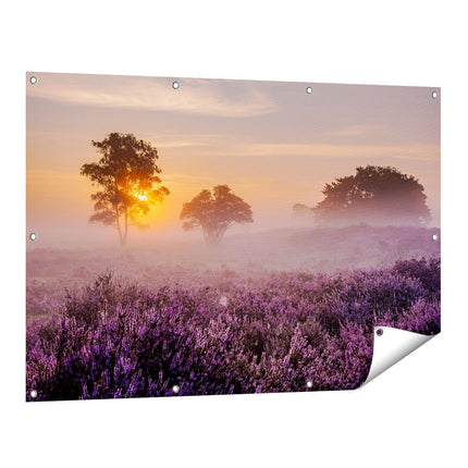 Tuinposter vooraanzicht Weide in de Veluwe bij Zonsondergang