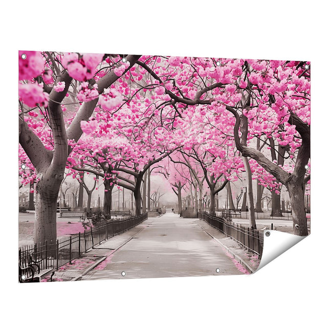 Tuinposter vooraanzicht Roze Bloesems in een Park