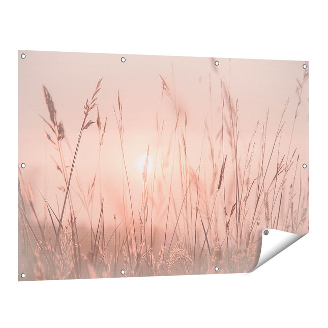 Tuinposter vooraanzicht De Zon gaat onder boven een Grasveld