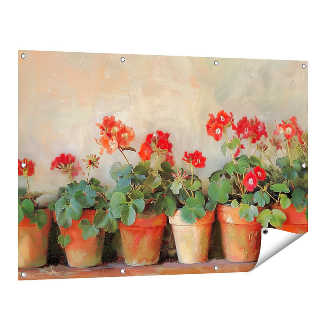 Tuinposter vooraanzicht Rode Geraniums in Potten