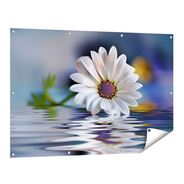 Tuinposter vooraanzicht Witte Margriet Weerspiegeld in Water