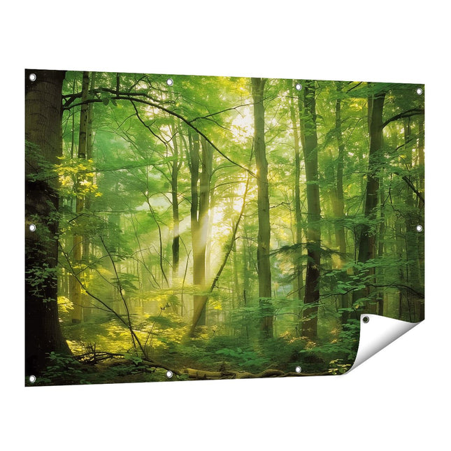 Tuinposter vooraanzicht Bos met Zonlicht dat door de Bomen Schijnt
