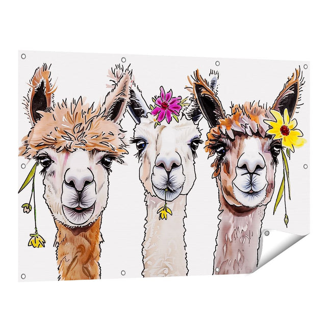 Tuinposter vooraanzicht Drie Lama's met Bloemen op hun Hoofd