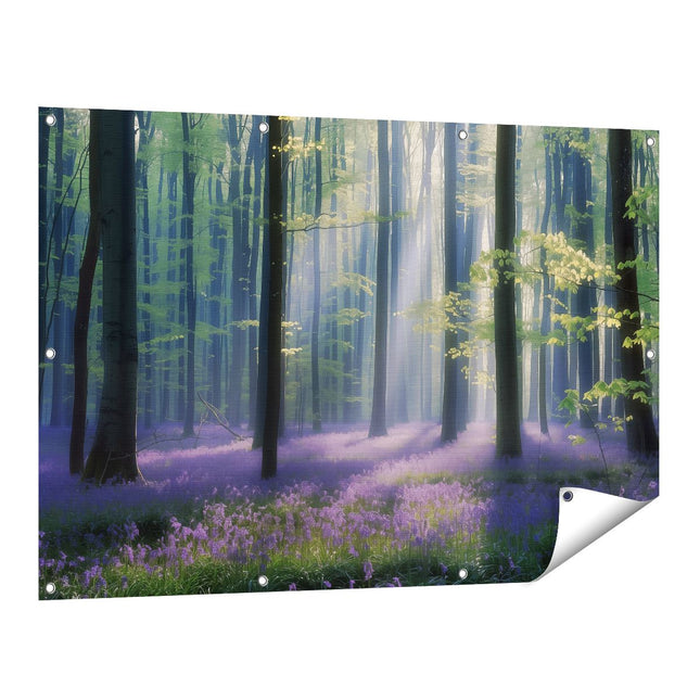 Tuinposter vooraanzicht Paars Bos met Zonlicht dat door de Bomen Schijnt