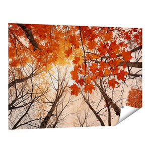 Tuinposter vooraanzicht Herfstbladeren in de Bomen