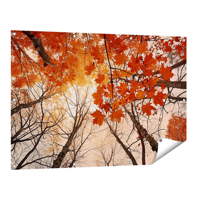 Tuinposter vooraanzicht Herfstbladeren in de Bomen