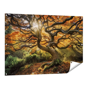 Tuinposter vooraanzicht Boom in een Bos