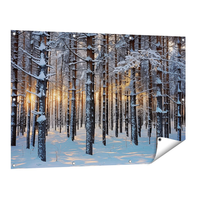Tuinposter vooraanzicht De Zon schijnt door een met Sneeuw Bedekt Bos