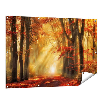 Tuinposter vooraanzicht De Zon schijnt door de Bomen